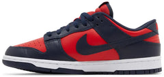 Nike Dunk Low City Attack