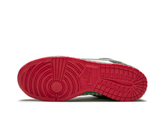 Nike SB Dunk Low What the Dunk