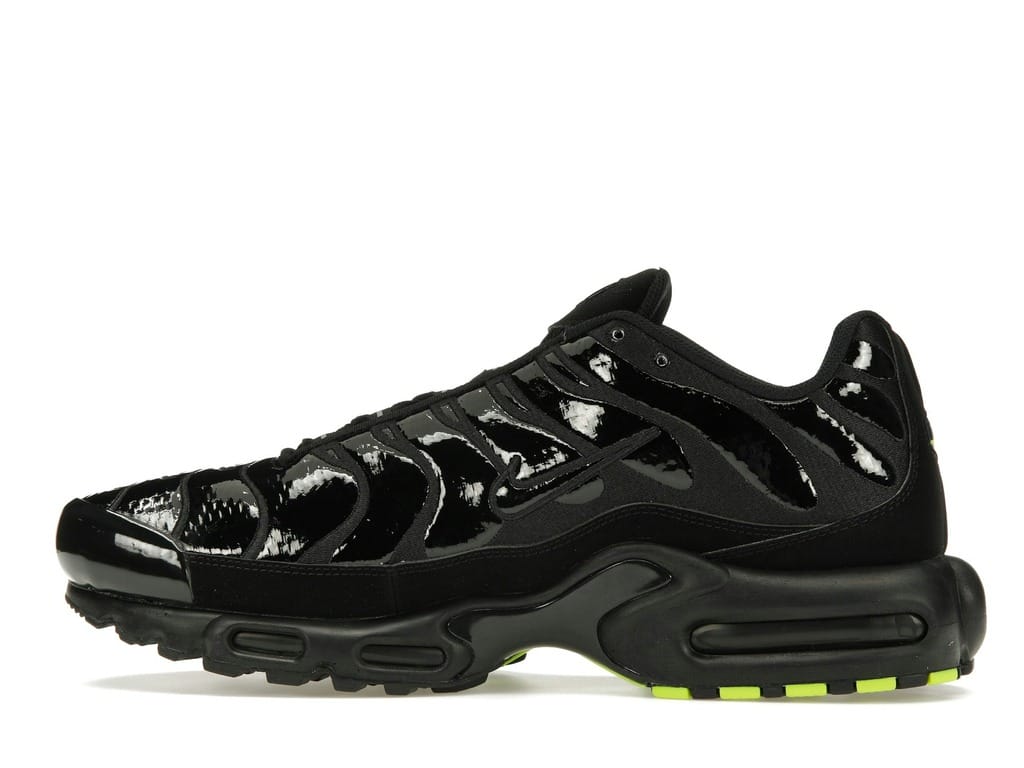 Nike Air Max Plus Black Chrome FJ2591-001 Sneakers