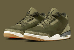 Air Jordan 3 Retro Family Affair