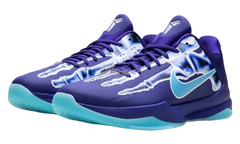 Nike Kobe 5 Protro "X-Ray"