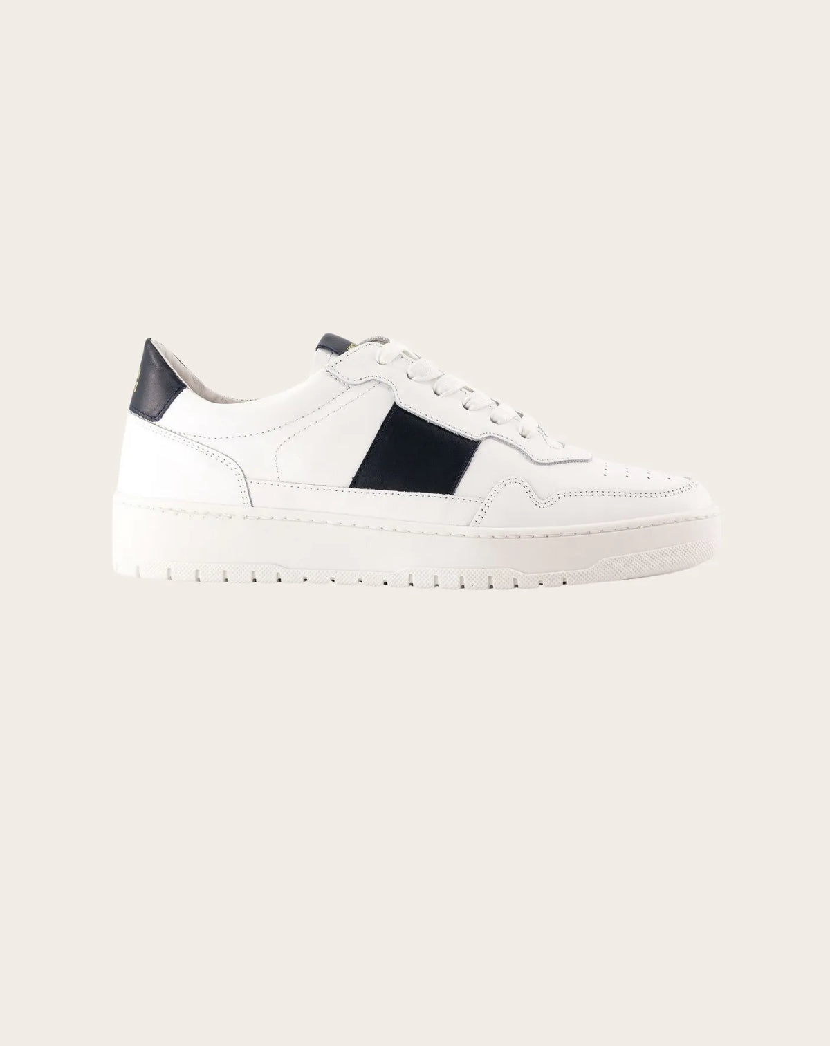 Low sneakers in grained leather